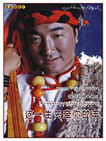 这一生只牵你的手 CD+DVD